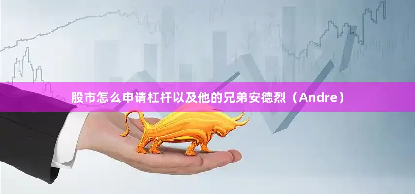股市怎么申请杠杆以及他的兄弟安德烈（Andre）